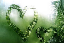 公牛喜获胜利，终结尼克斯的九连胜